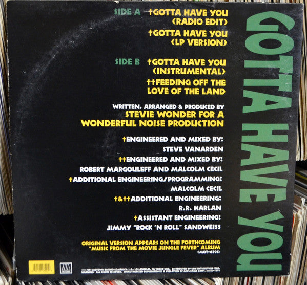 Stevie Wonder - Gotta Have You