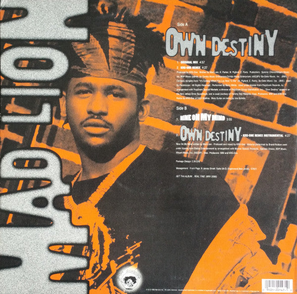 Mad Lion - Own Destiny