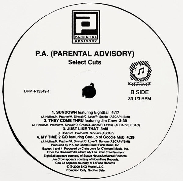 Parental Advisory - Select Cuts From The Album My Life, Your Entertainment