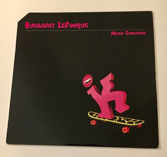 Buckshot Lefonque - Music Evolution