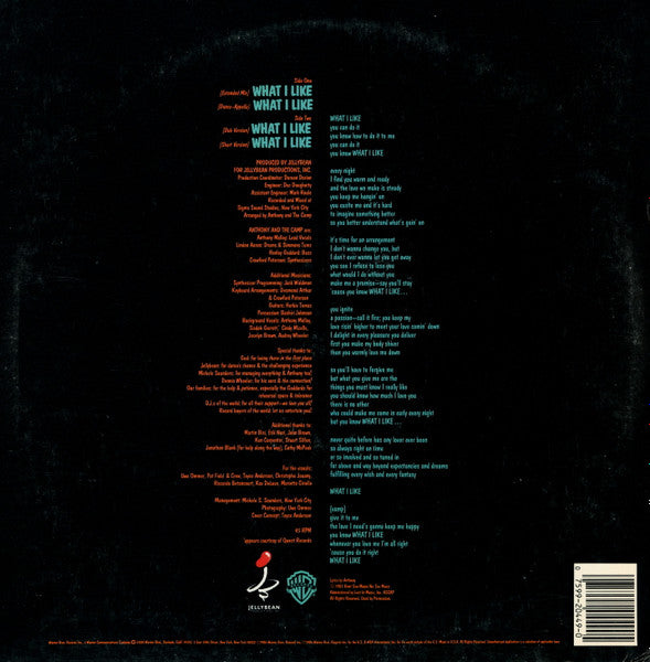 Anthony And The Camp - What I Like