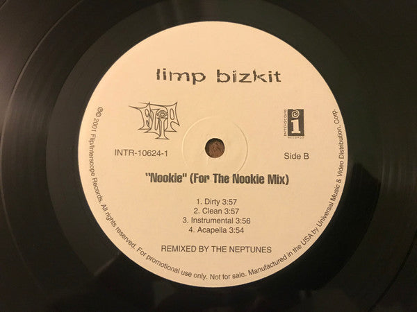 Limp Bizkit - N 2 Gether Now / Nookie (Neptune Remixes)