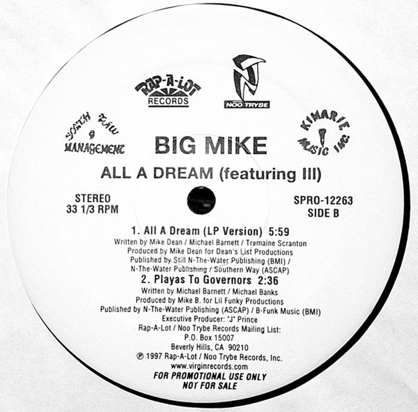 Big Mike (3) - All A Dream