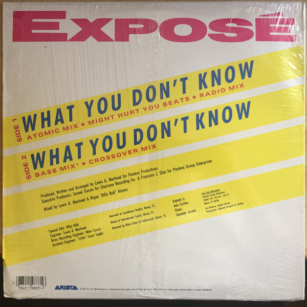 Exposé - What You Don't Know