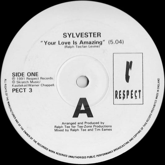 Sylvester - Your Love Is Amazing