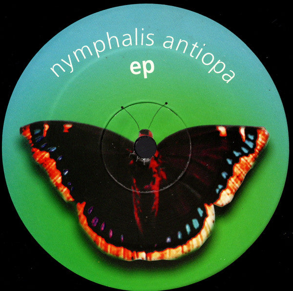 Nymphalis Antiopa EP