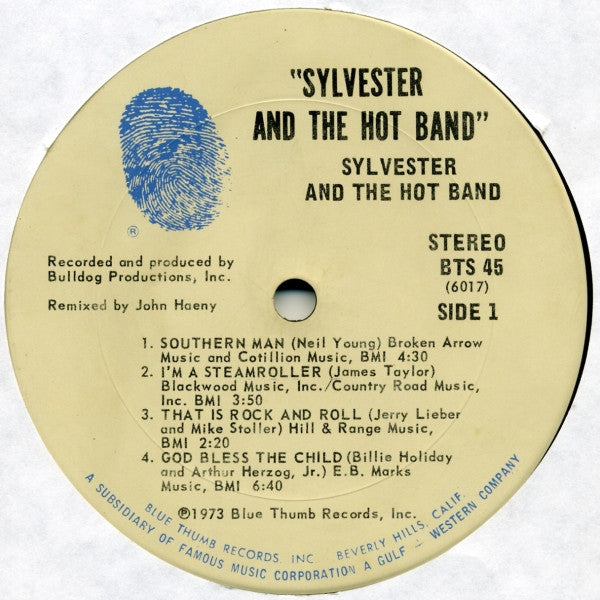 Sylvester And The Hot Band - Sylvester And The Hot Band