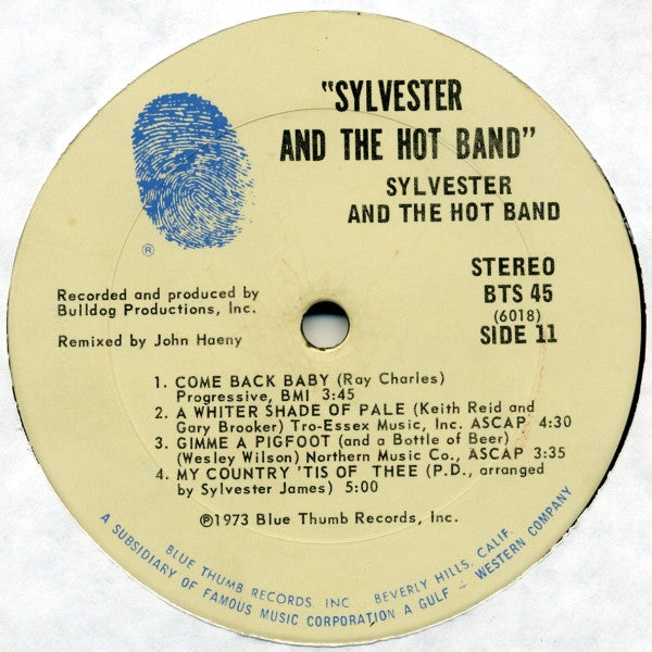 Sylvester And The Hot Band - Sylvester And The Hot Band