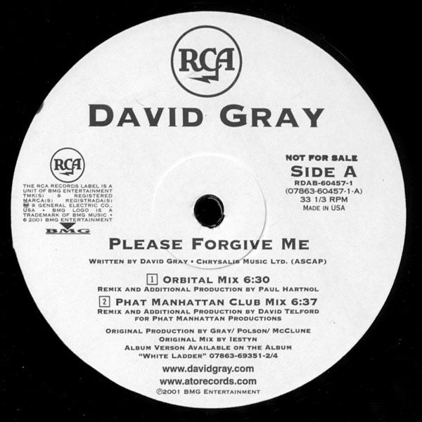 David Gray - Please Forgive Me
