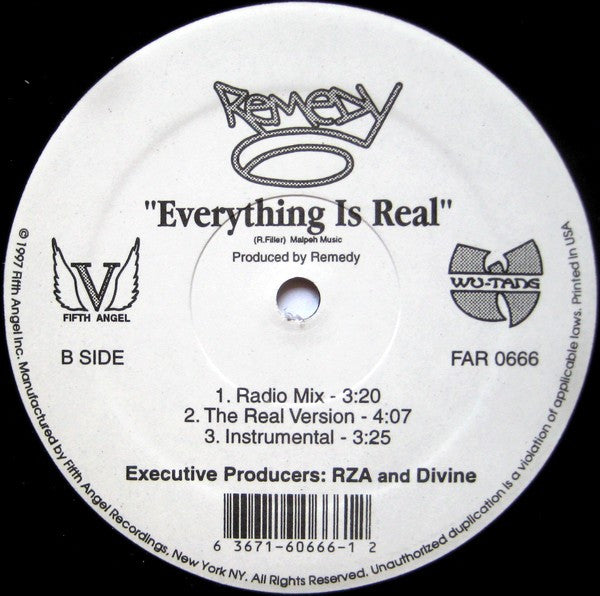 Remedy (3) - Seen It All / Everything Is Real