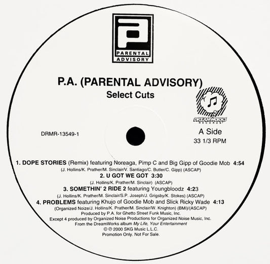 Parental Advisory - Select Cuts From The Album My Life, Your Entertainment