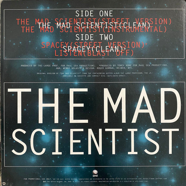 Large Professor - The Mad Scientist