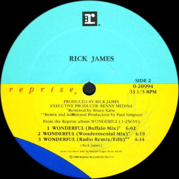 Rick James - Wonderful