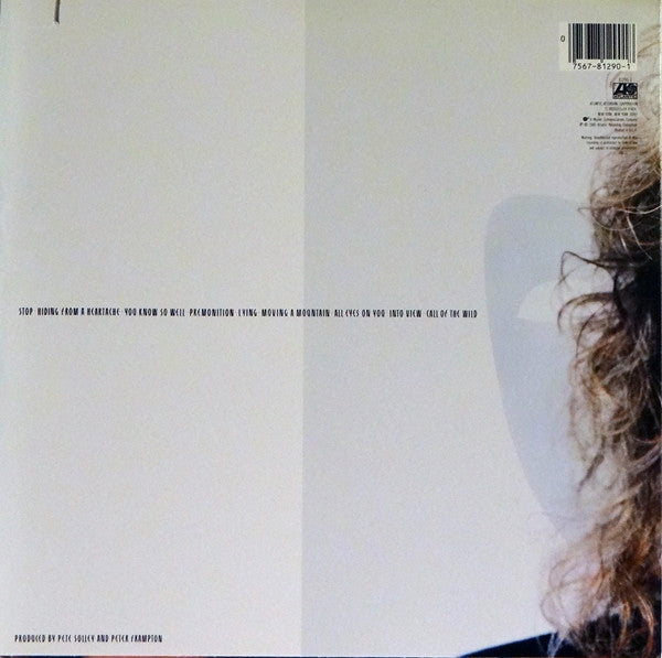 Peter Frampton - Premonition