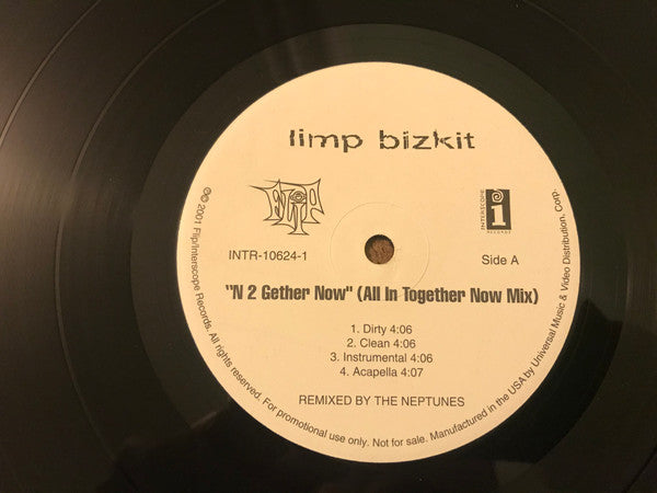 Limp Bizkit - N 2 Gether Now / Nookie (Neptune Remixes)
