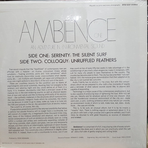 Ambience One (An Adventure In Enviromental Sound)