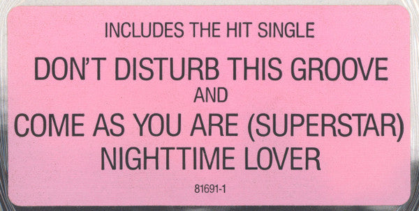 The System - Don't Disturb This Groove