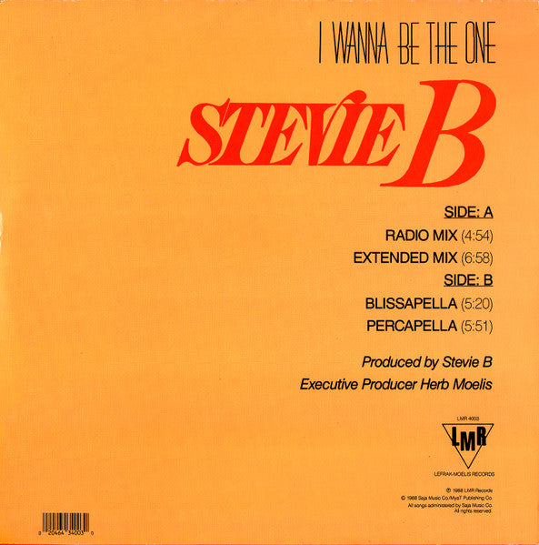 Stevie B - I Wanna Be The One