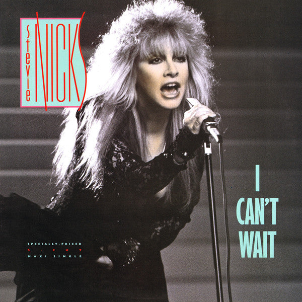 Stevie Nicks - I Can't Wait