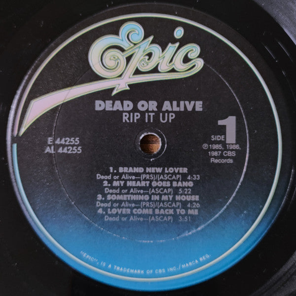 Dead Or Alive - Rip It Up