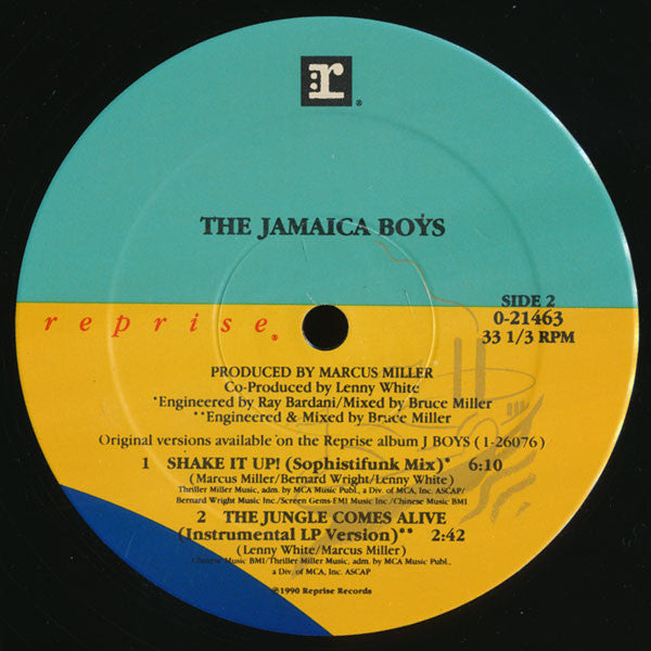 The Jamaica Boys - Shake It Up!