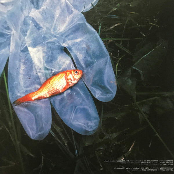Neotropic - White Rabbits