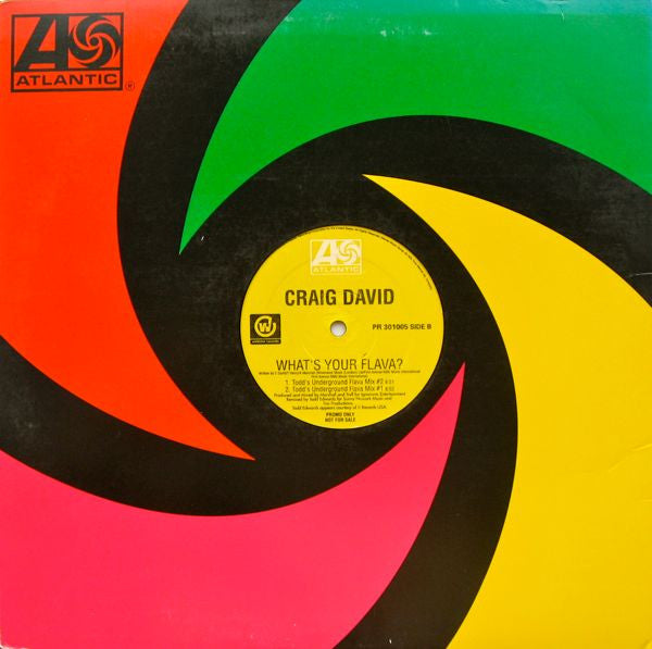 Craig David - What's Your Flava?