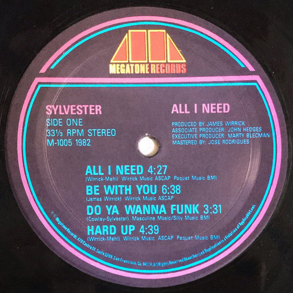 Sylvester - All I Need