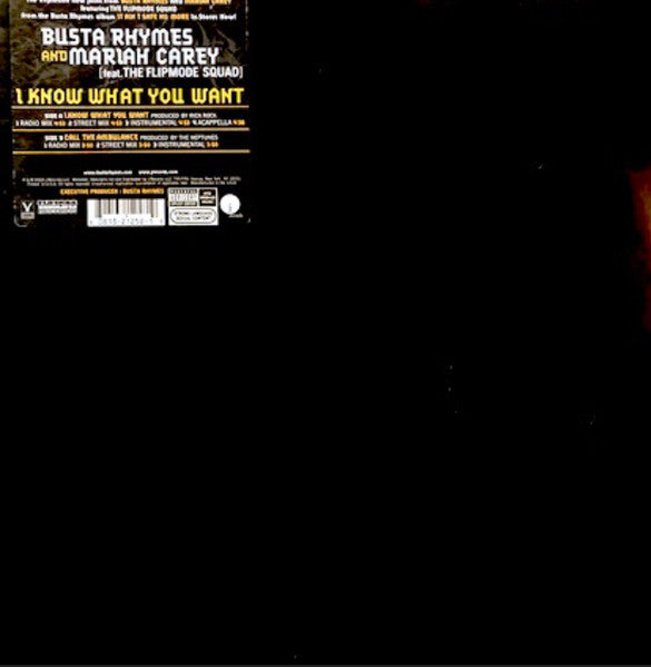 Busta Rhymes - I Know What You Want