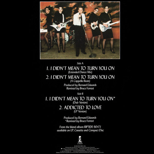 Robert Palmer - I Didn't Mean To Turn You On (Extended Dance Mix)