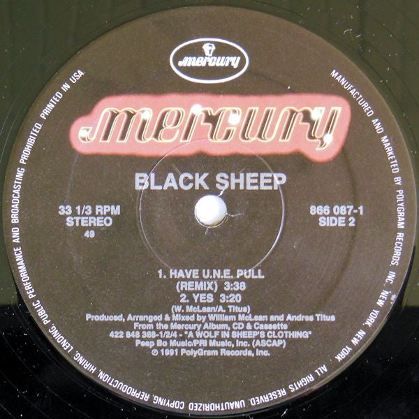 Black Sheep - The Choice Is Yours