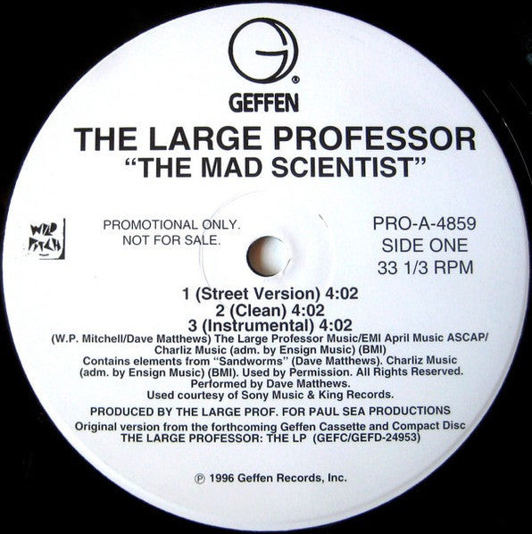 Large Professor - The Mad Scientist