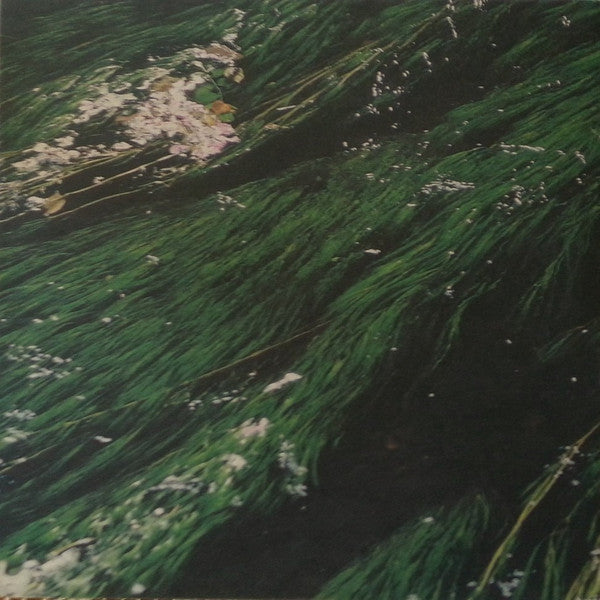 Beth Hirsch - Miner's Son