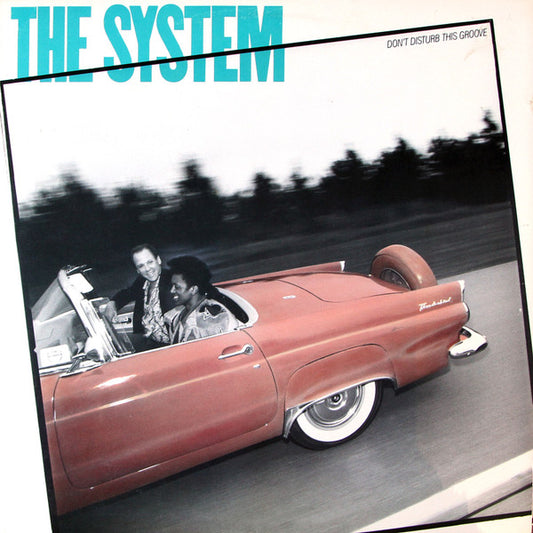 The System - Don't Disturb This Groove