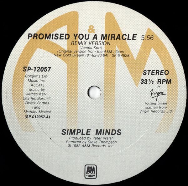 Simple Minds - Promised You A Miracle