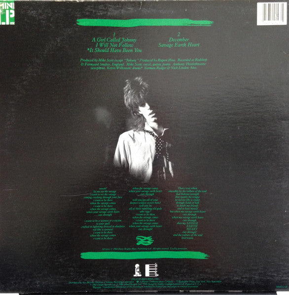 The Waterboys - The Waterboys