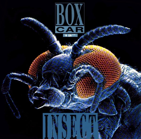 Boxcar - Insect