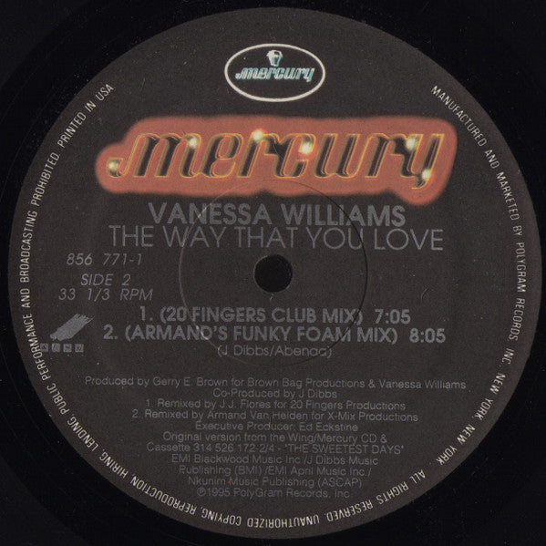 Vanessa Williams - The Way That You Love