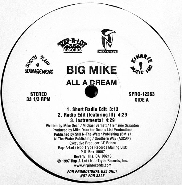 Big Mike (3) - All A Dream