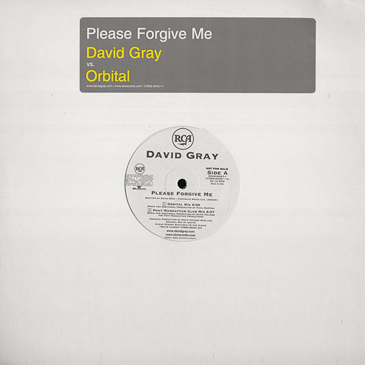 David Gray - Please Forgive Me