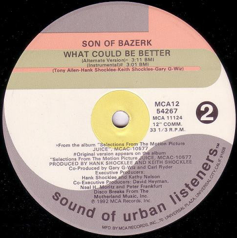 Son Of Bazerk - What Could Be Better Bitch
