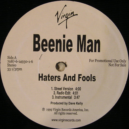 Beenie Man - Haters And Fools / Analyze This