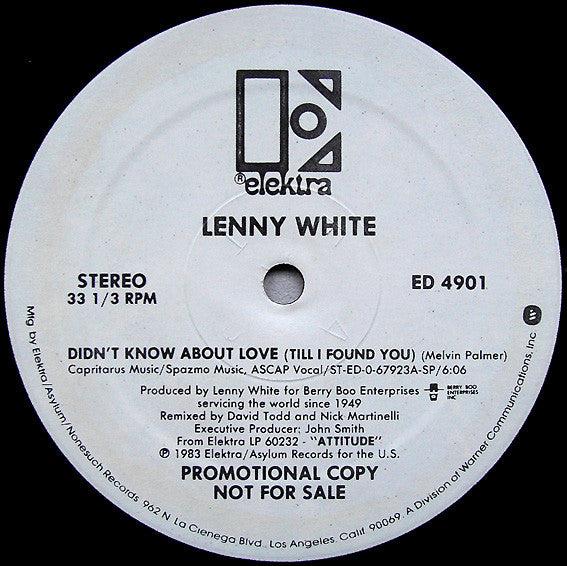 Lenny White - Didn't Know About Love (Till I Found You)