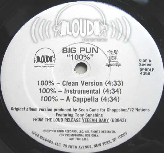 Big Punisher - 100%