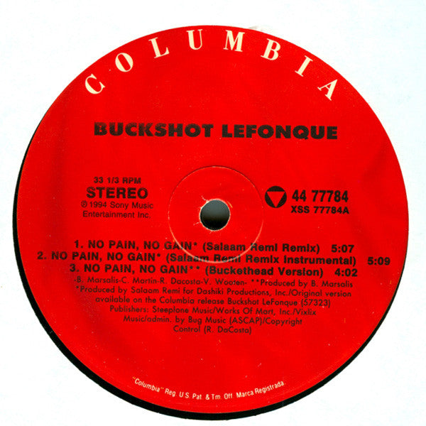 Buckshot LeFonque - No Pain, No Gain