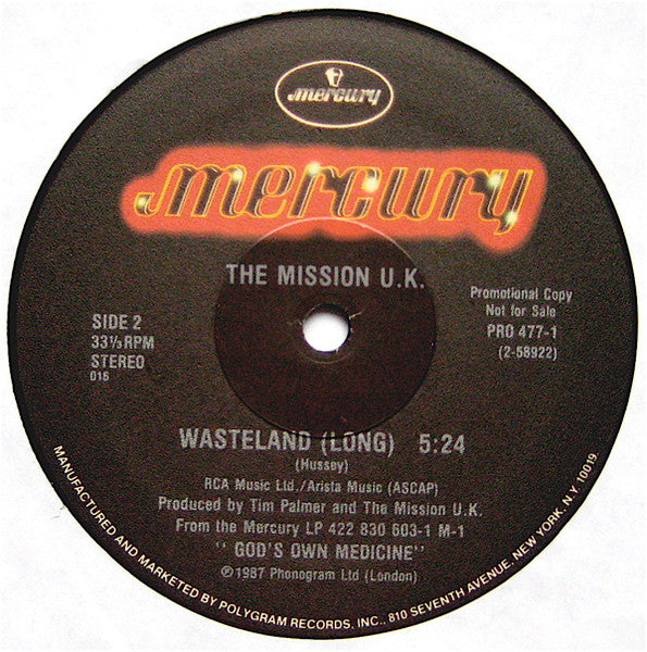 The Mission - Wasteland
