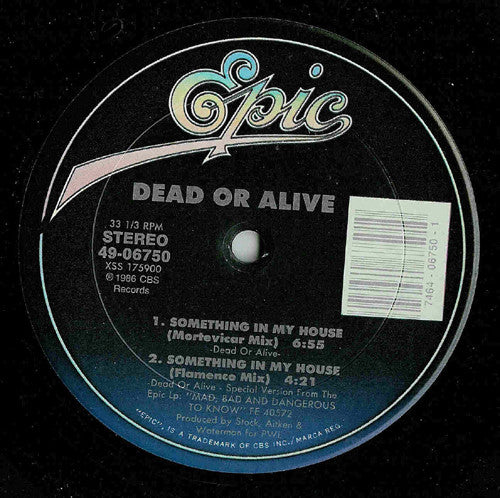 Dead Or Alive - Something In My House