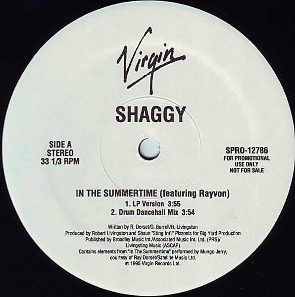 Shaggy - In The Summertime