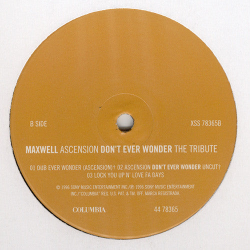 Maxwell - Ascension (Don't Ever Wonder) The Tribute