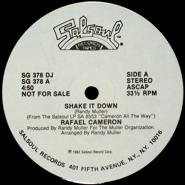 Rafael Cameron - Shake It Down
